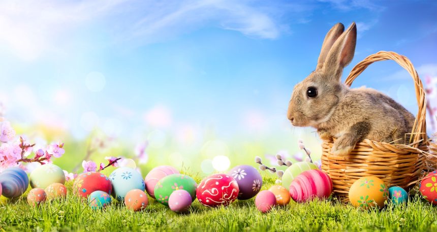 Easter is a special time of year for many people around the world.